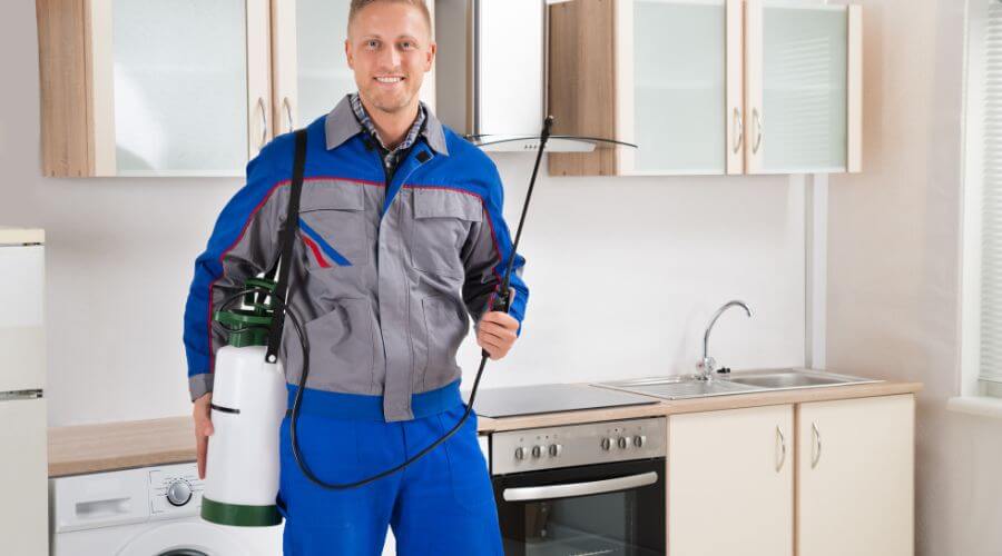 Professional pest control services in Bacchus Marsh, Melbourne - Bacchus Marsh Pest