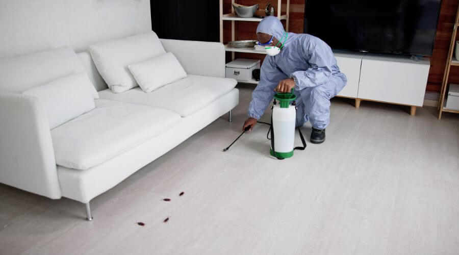 Why choose Bacchus Marsh Pest for pest control in Bacchus Marsh, Melbourne